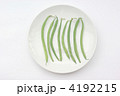 インゲン豆