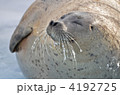 4192725