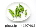 ししとうがらし