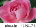 4198174