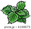 ooba.aojiso12228pix
