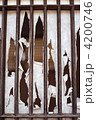 4200746