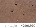 4200890
