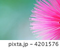 4201576