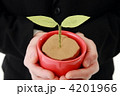 若葉を手にするビジネスマン