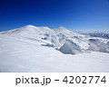 冬の八甲田山頂の樹氷群