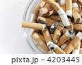 4203445