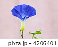 4206401