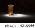 4210066