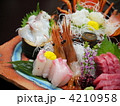 日本海の海の幸　「刺身盛り合わせ　」