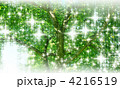 4216519