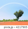 ハートの木