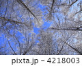 4218003