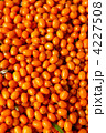 4227508