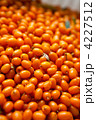 4227512