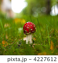 4227612