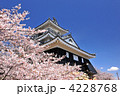 浜松城と桜