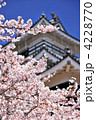 お城と桜