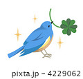 青い鳥（四ツ葉のクローバー）