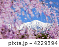 冬から春へ