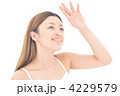 4229579