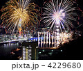 花火と夜景