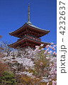 桜の清水寺