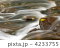 4233755