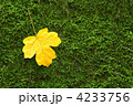 4233756
