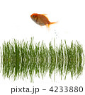 4233880