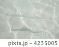 4235005