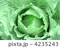 4235243