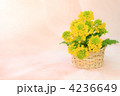色鮮やかな春