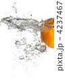 4237467