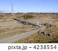 木造沈下橋　島田橋