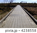木造沈下橋　島田橋