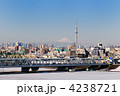 雪の日のスカイツリーと富士山