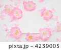 花 桜 メモリーカード