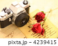 オモチャのミニチュア一眼レフとドライな薔薇