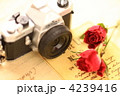 オモチャのミニチュア一眼レフとドライな薔薇