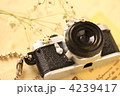 玩具のミニチュアカメラとドライなかすみ草