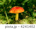 4241402