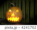 4241702