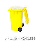 4241834