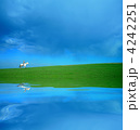 4242251