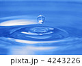 4243226