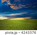 4243376