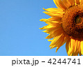 4244741