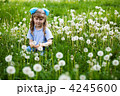 4245600