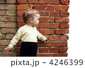 4246399